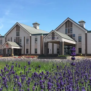 ホテル Spa&hotel ふらのラテール ***